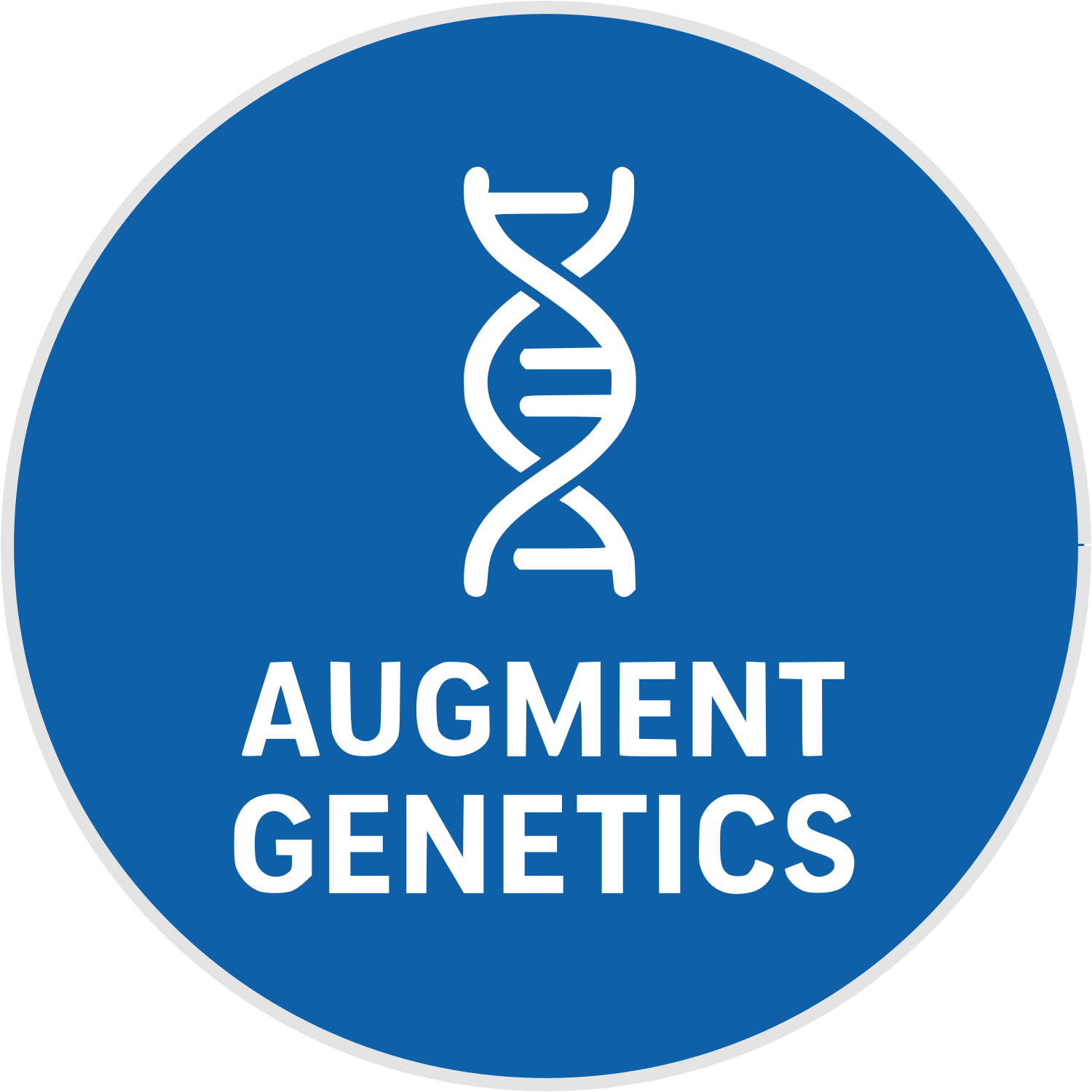logo_augment