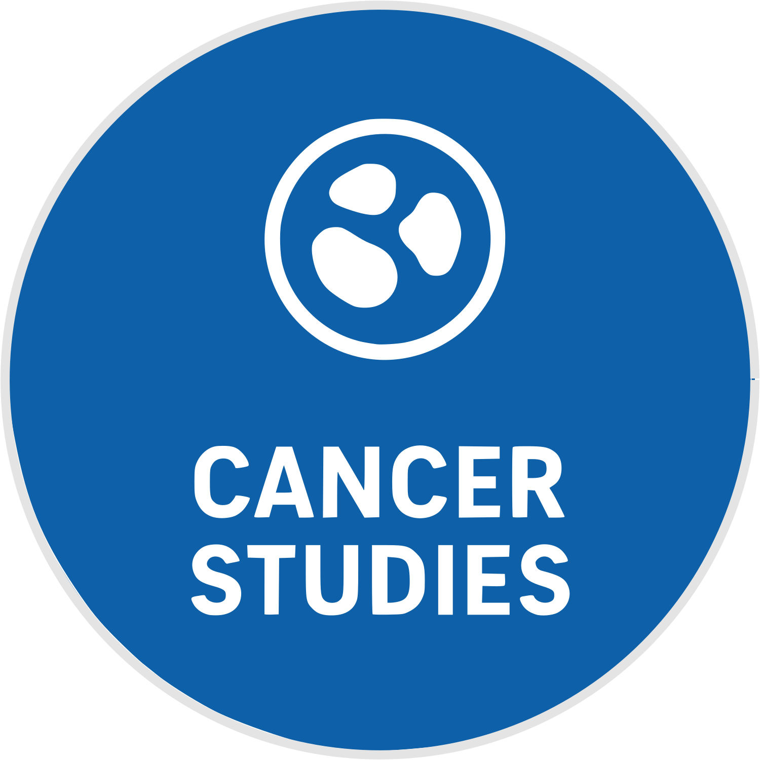 logo_cs