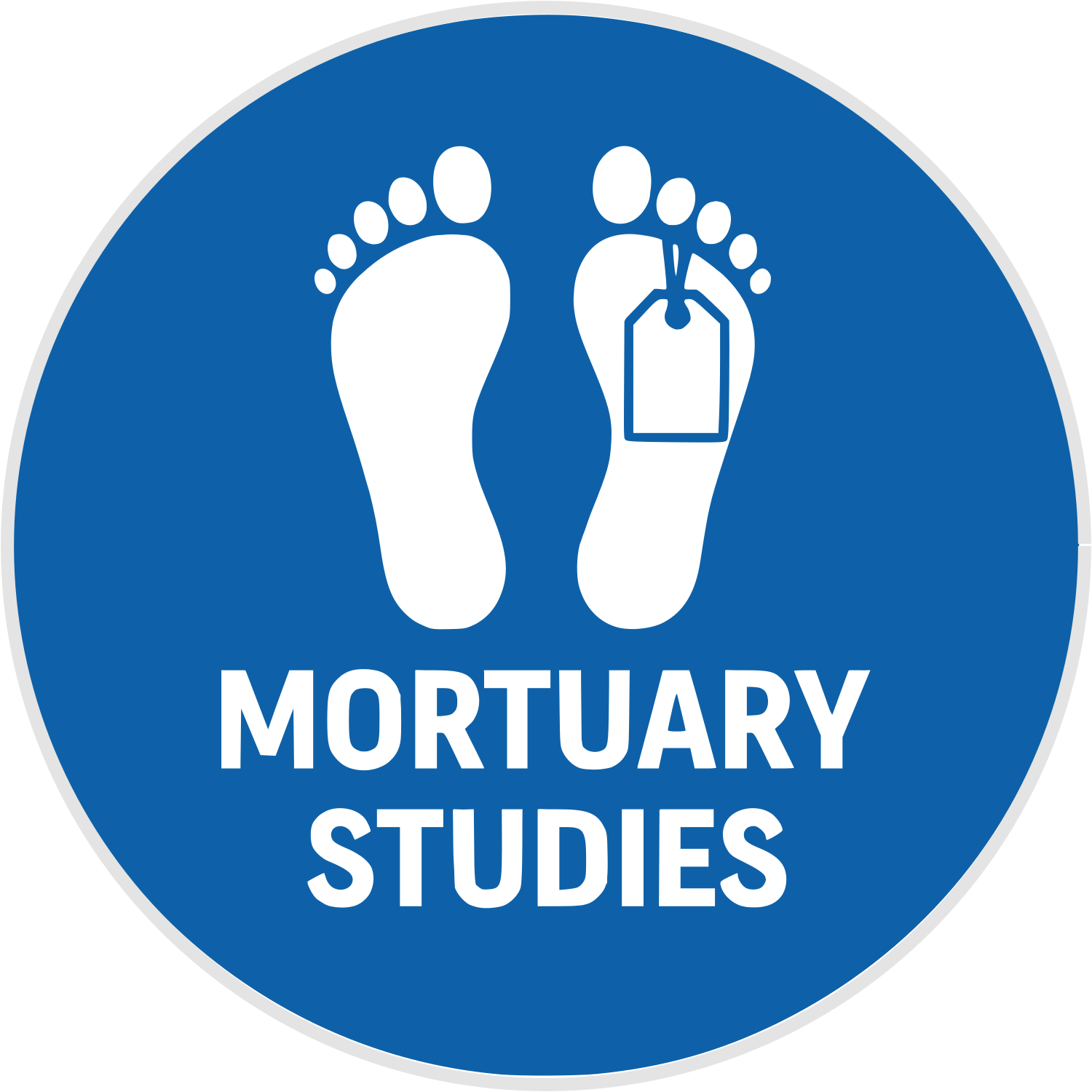 logo_ms